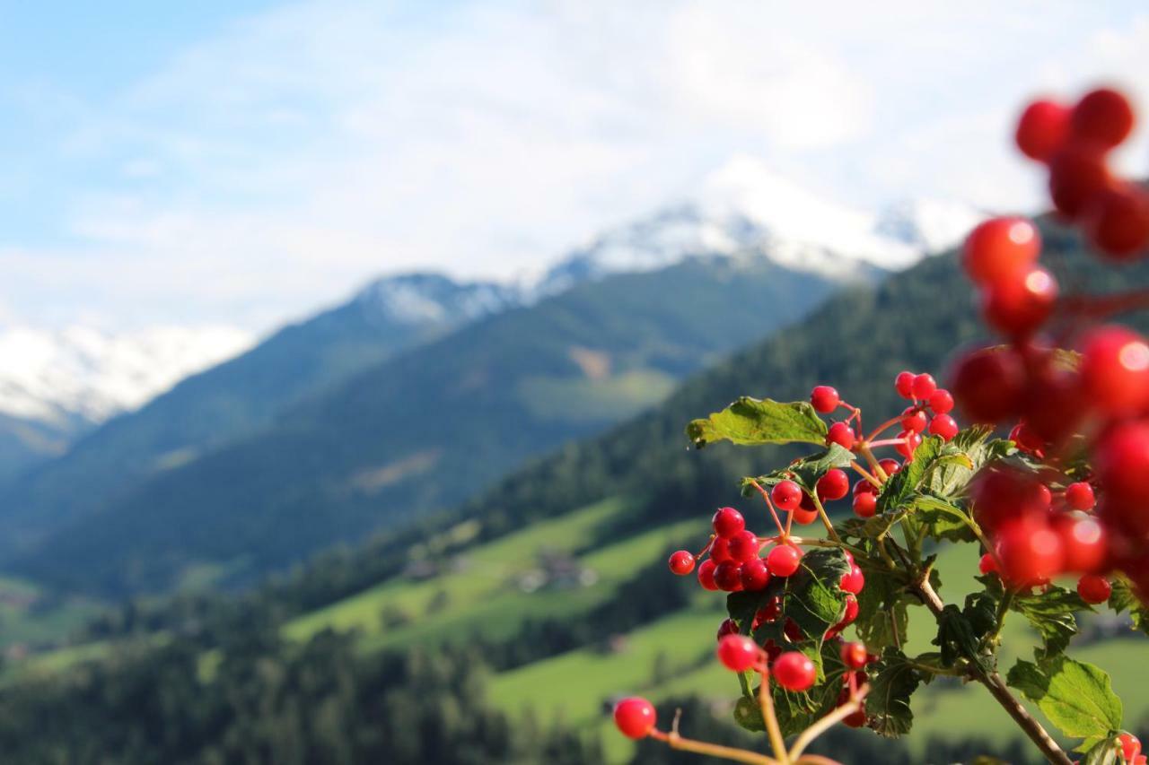 Moahof Daire Alpbach Dış mekan fotoğraf