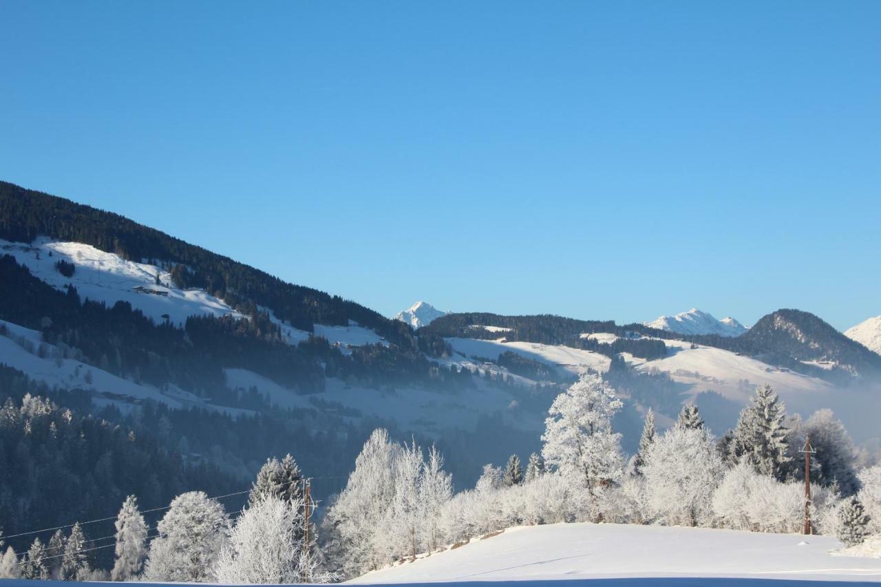 Moahof Daire Alpbach Dış mekan fotoğraf